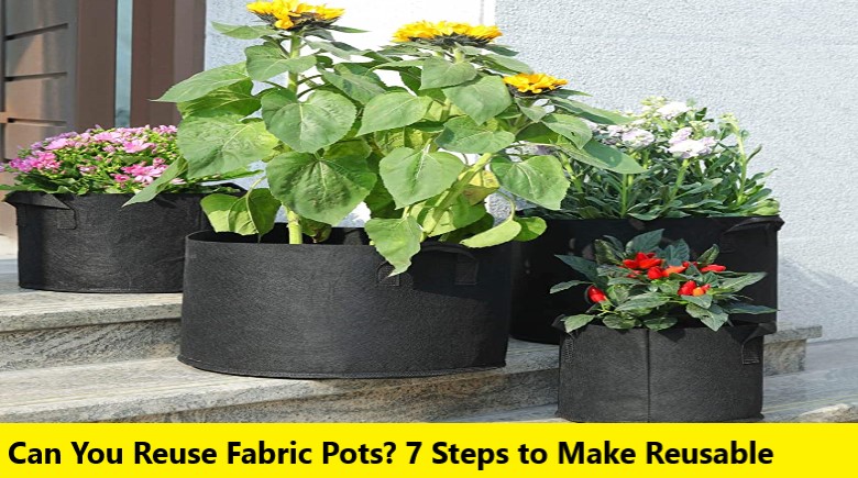Can You Reuse Fabric Pots