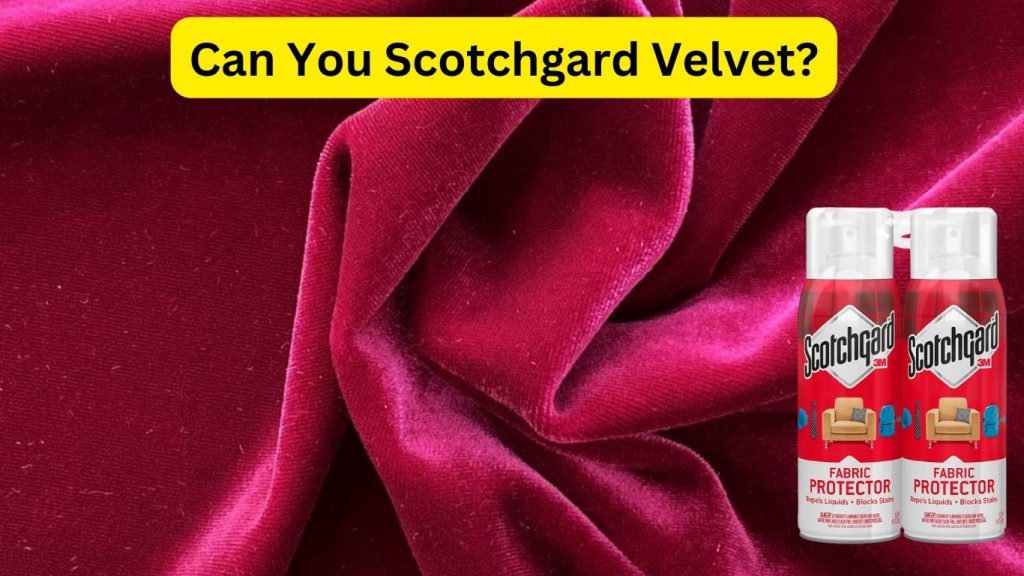 Can You Scotchgard Velvet? A Complete Guide