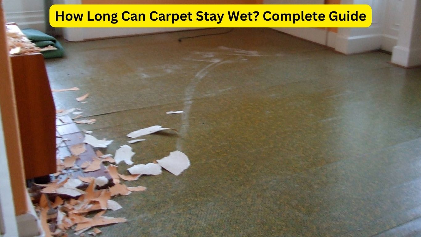 How Long Can Carpet Stay Wet