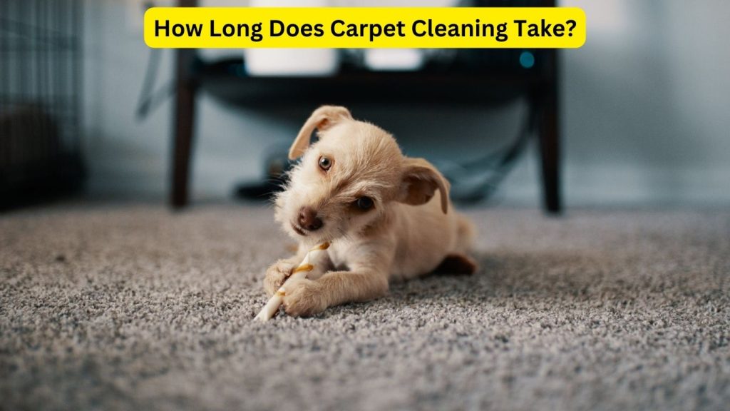 How Long Does Carpet Cleaning Take
