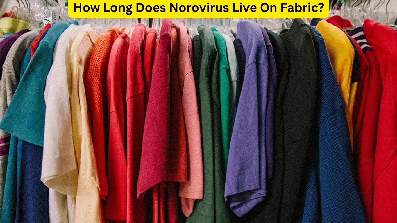 How Long Does Norovirus Live On Fabric