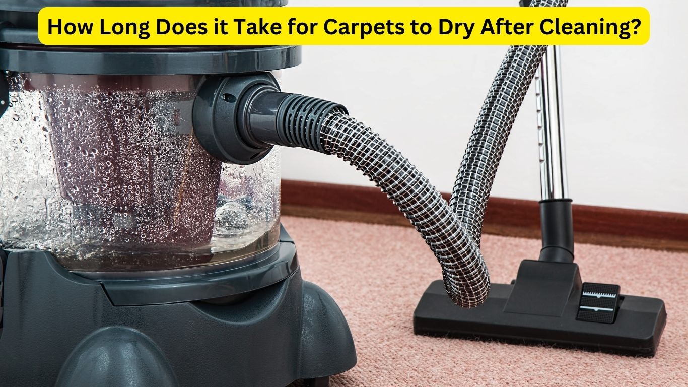 How Long Does it Take for Carpets to Dry After Cleaning