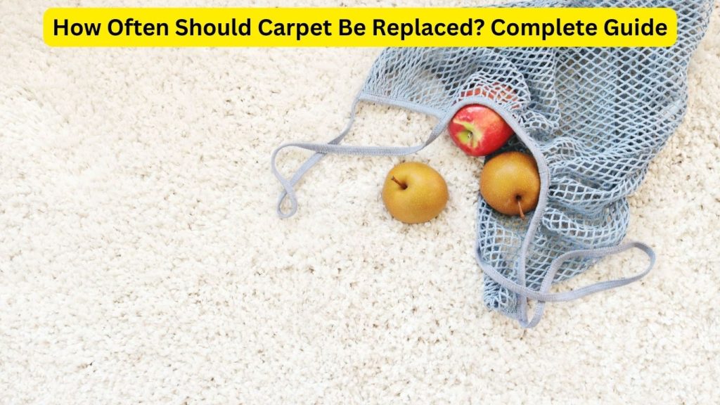 How Often Should Carpet Be Replaced