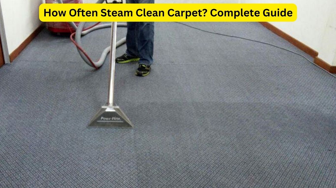 How Often Steam Clean Carpet