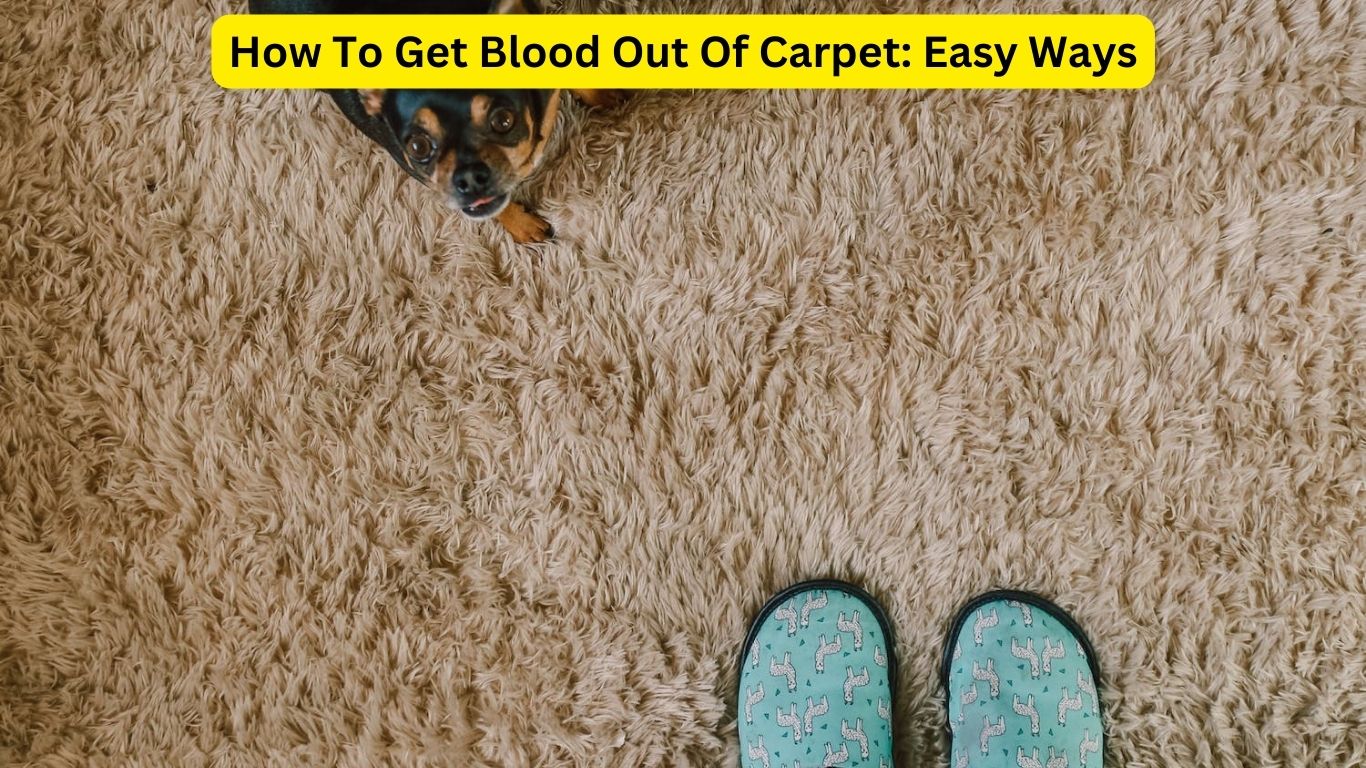 How To Get Blood Out Of Carpet