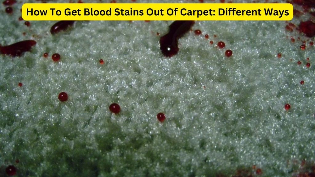 How To Get Blood Out Of Carpet Easy Ways