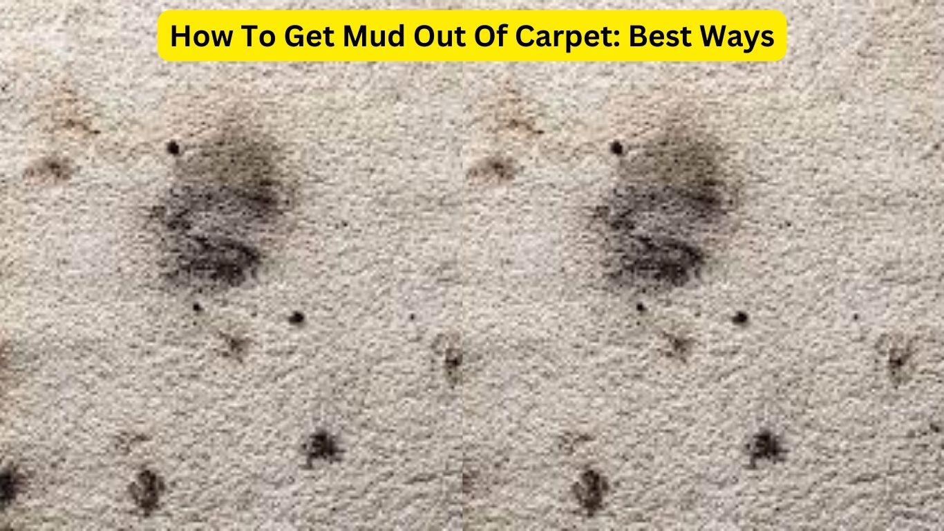How To Get Mud Out Of Carpet