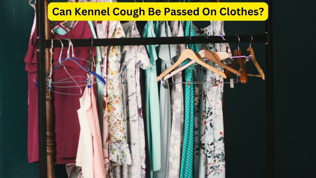 Can Kennel Cough Be Passed On Clothes