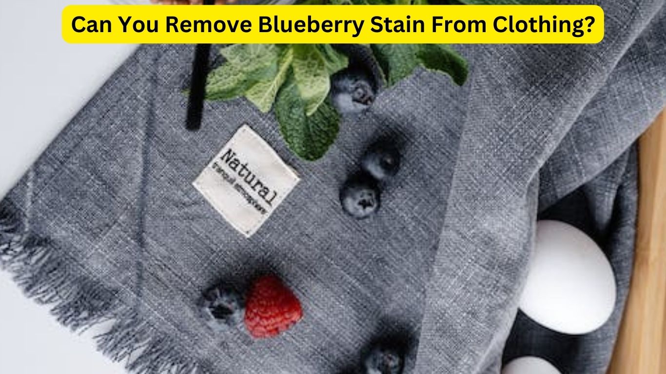 Does Blueberry Stain Clothes? Complete Guide