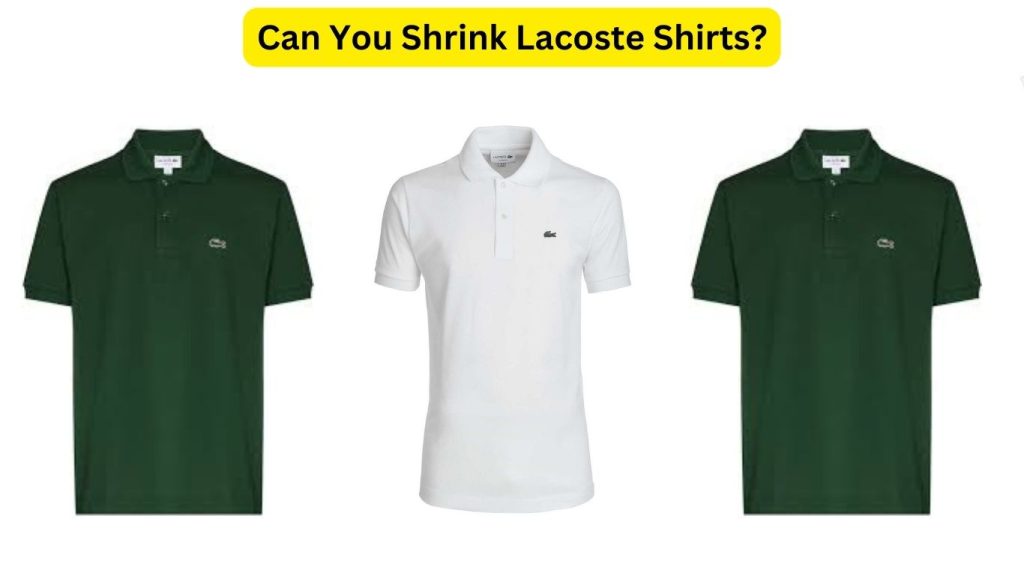 Do Lacoste Shirts Shrink? Complete Guide