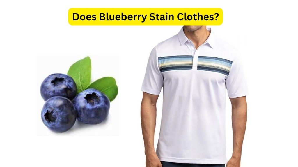 Does Blueberry Stain Clothes? Complete Guide