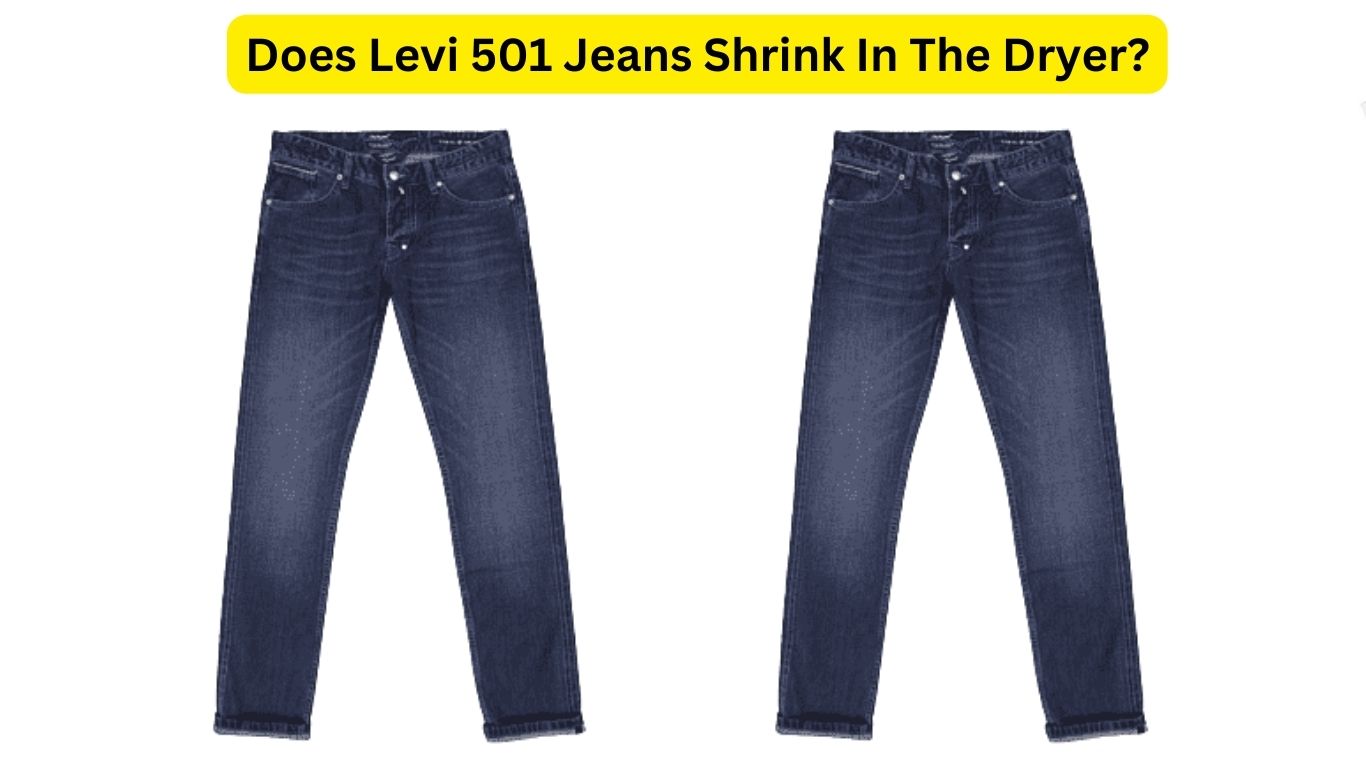 Do Levi 501 Jeans Shrink? All You Need To Know