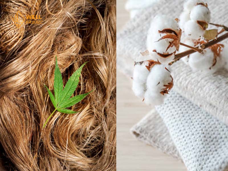 Hemp Vs Cotton