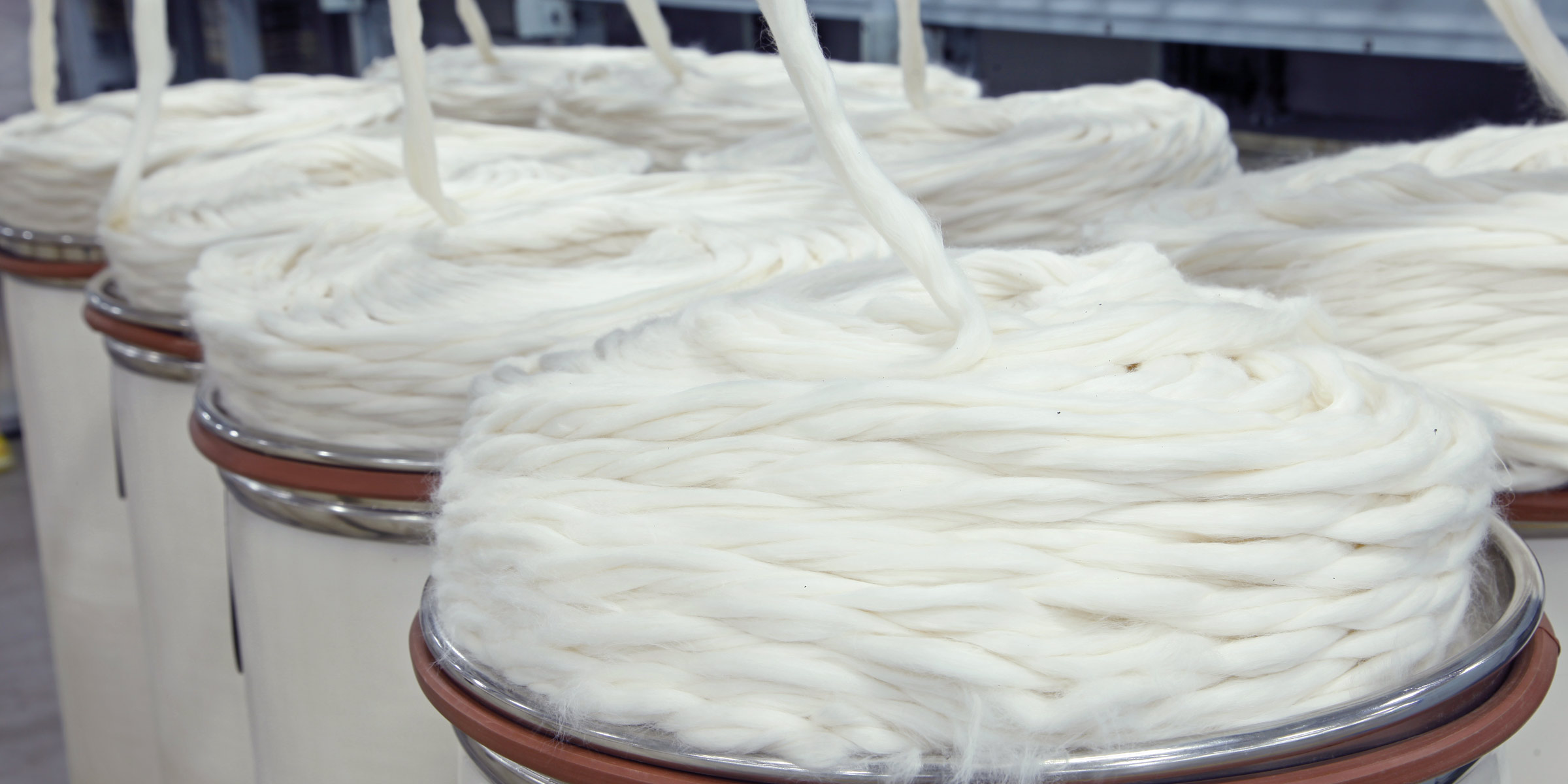 Pima Cotton Vs Egyptian Cotton